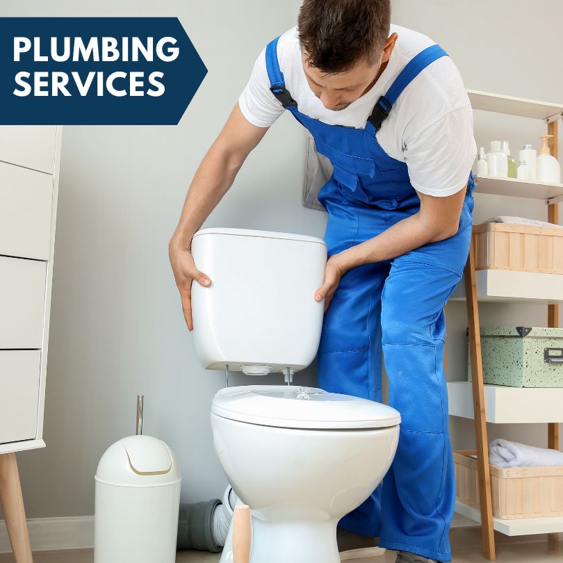 Plumbing Company in Peosta, IA